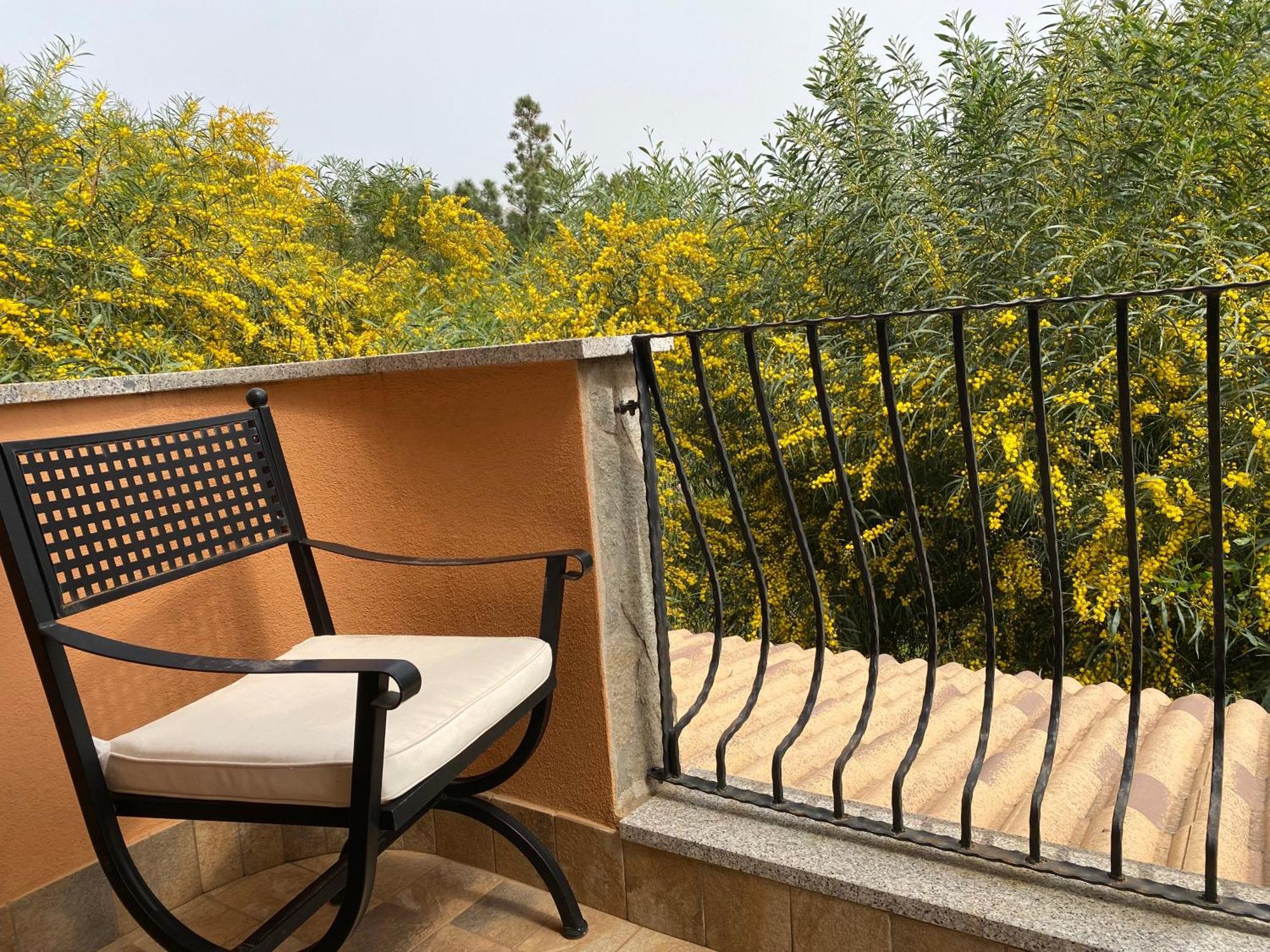 Residenza I Ginepri Villa Domus De Maria Dış mekan fotoğraf